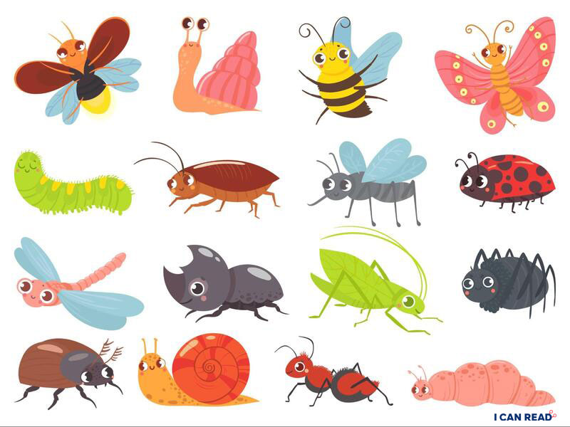 Nhóm kể từ vựng loài vật về côn trùng